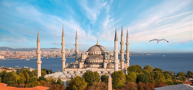 Read more about the article The Blue Mosque in Türkiye